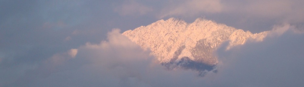 People Who Lead People